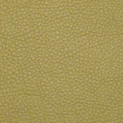 Yellow Green